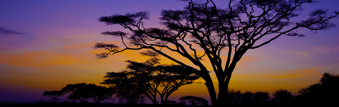 6 Days / 5 Nights Lake Nakuru, Maasai Mara and Amboseli