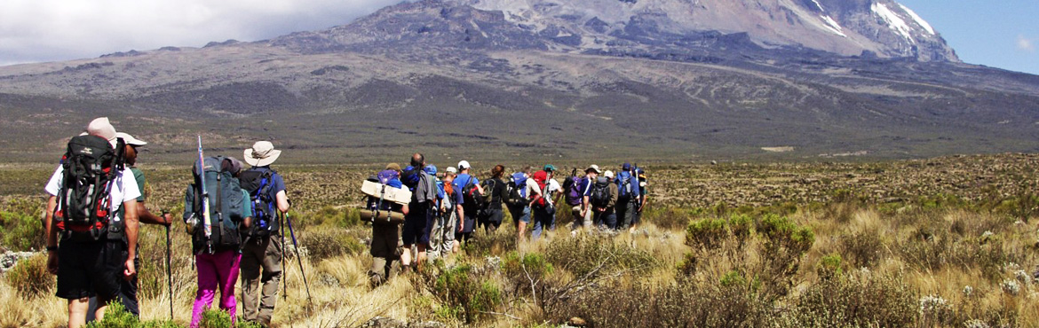 8Days Mt. Kilimanjaro Lemosho route climb