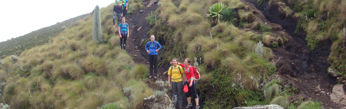 Mount Kenya Trek Sirimon Route out Chogoria Gate